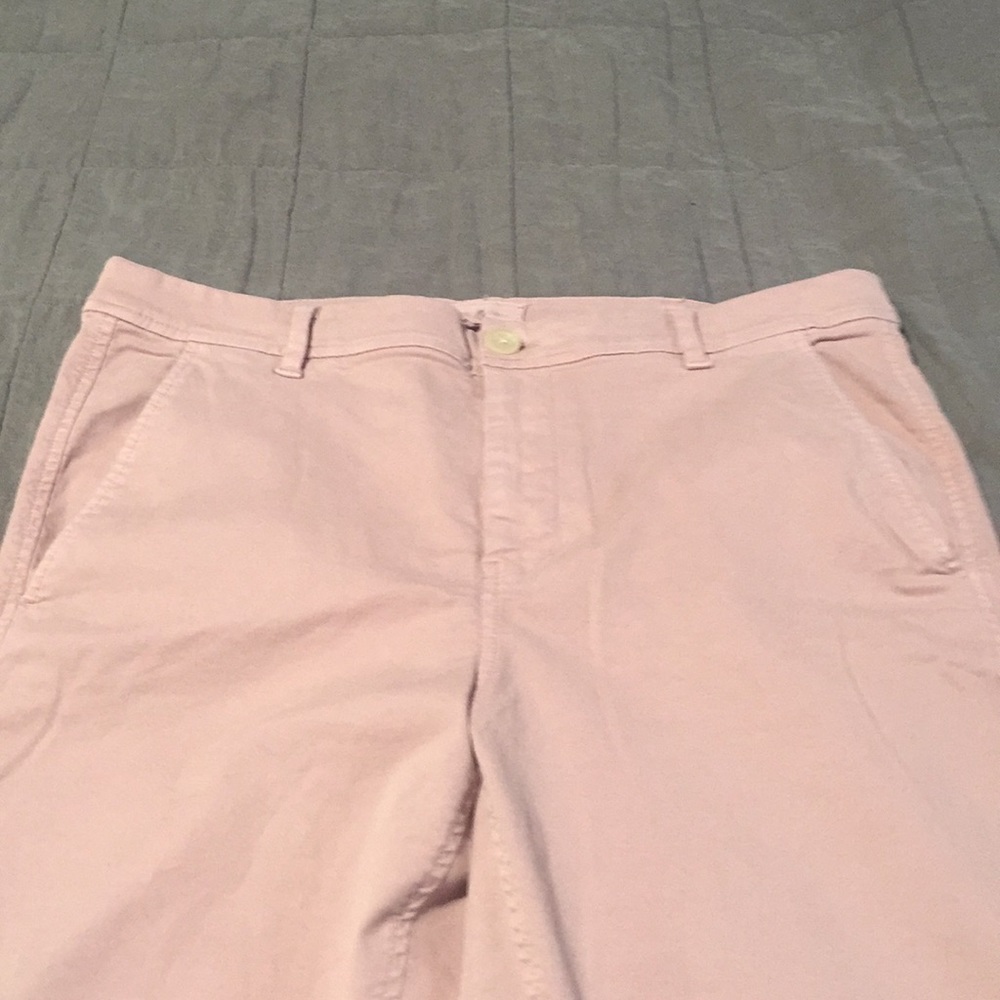 Nwt Lou & grey mauve chinos 12